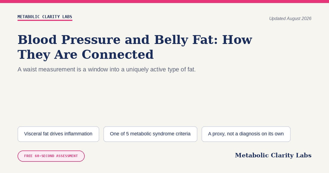 Blood Pressure and Belly Fat — Metabolic Clarity Labs
