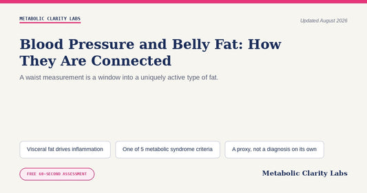 Blood Pressure and Belly Fat — Metabolic Clarity Labs