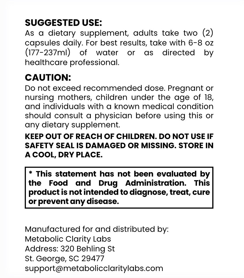 M-01 Foundation Protocol