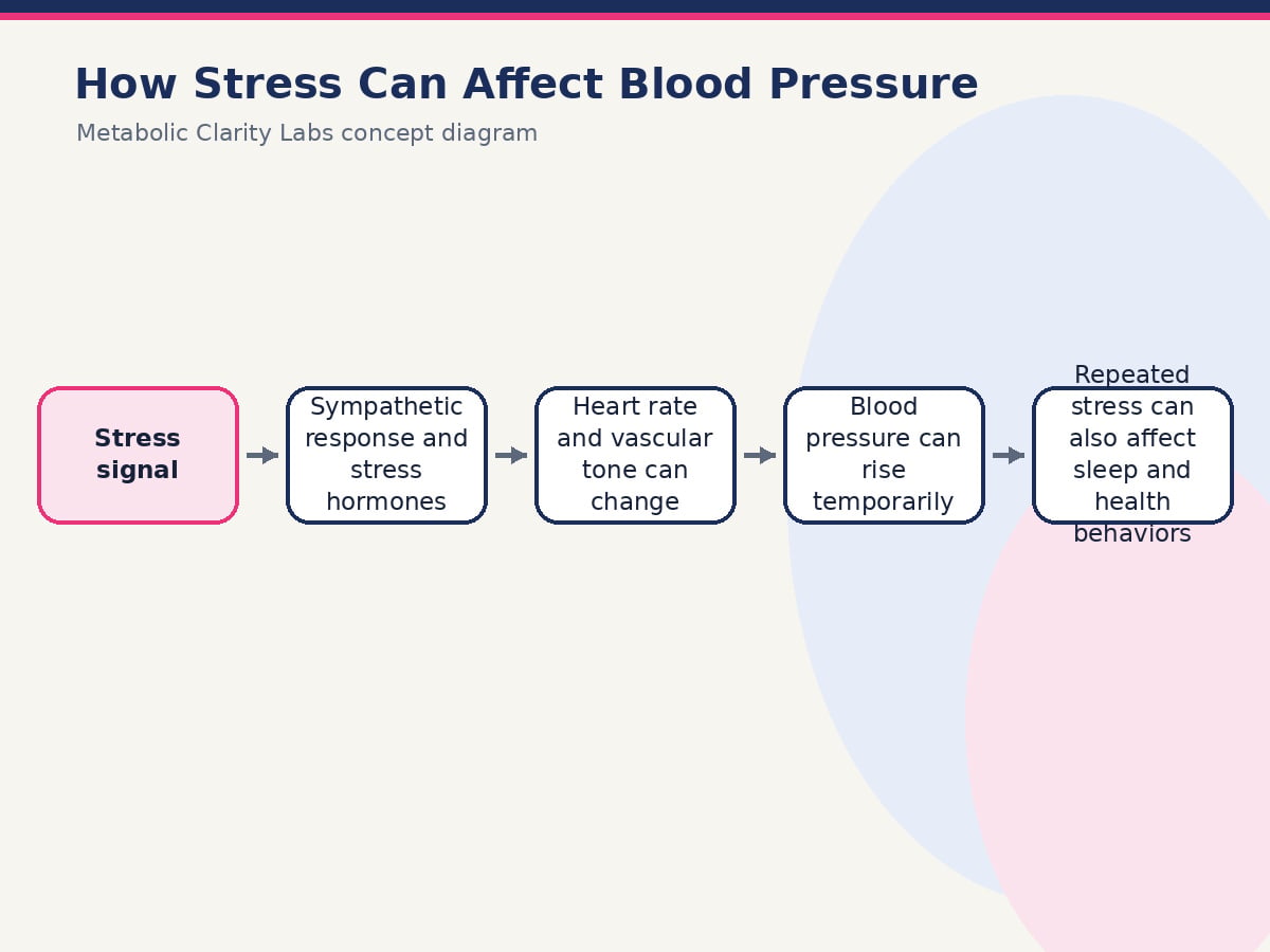 Diagram of how stress affects blood pressure